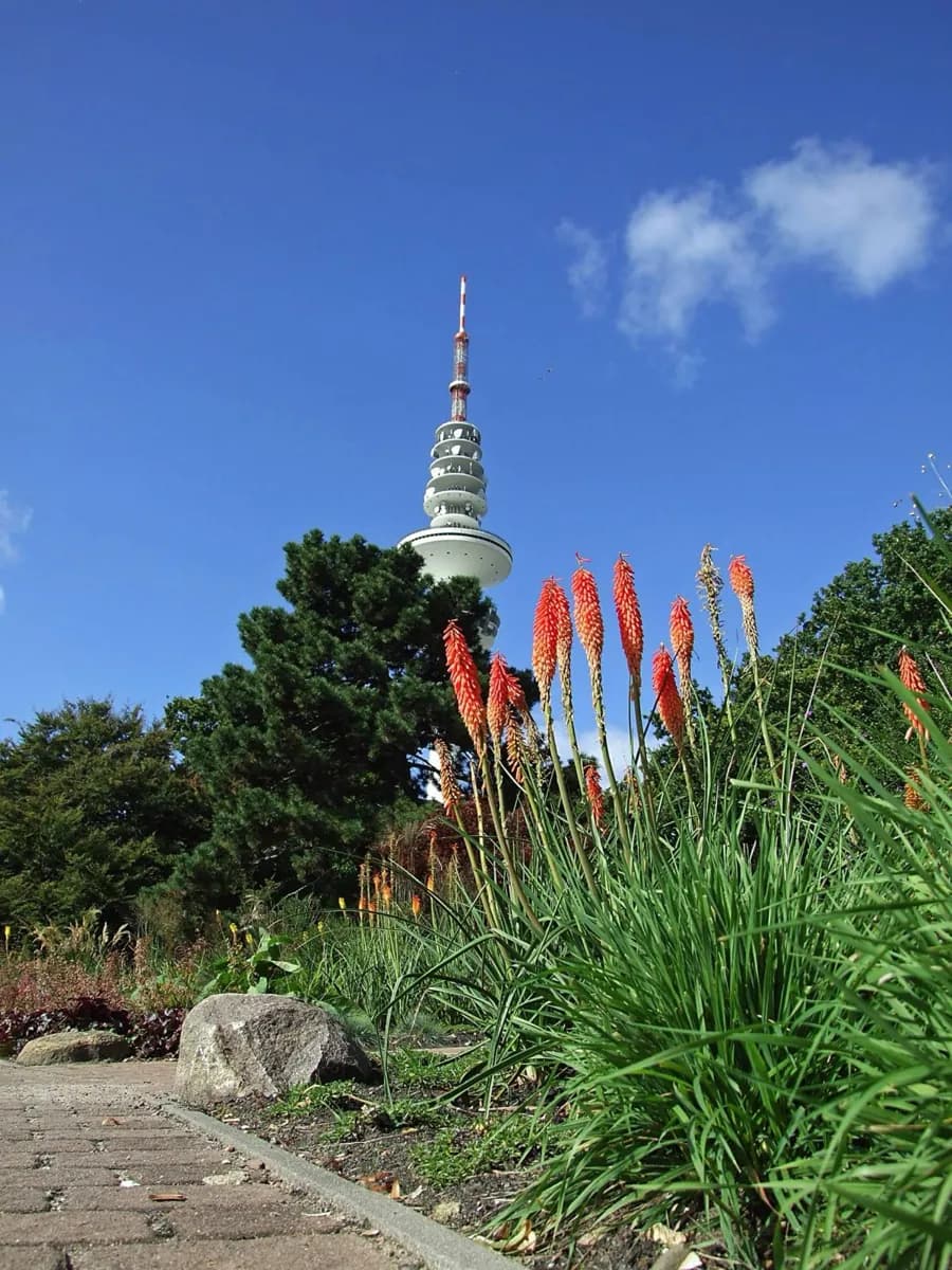 Alter Botanischer Garten