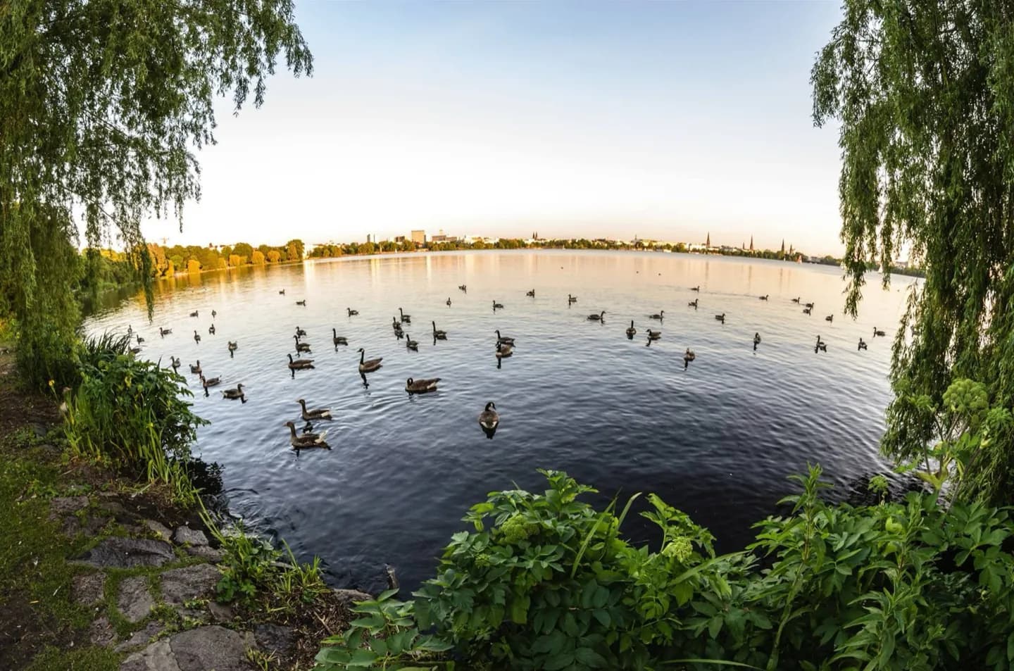 Binnenalster · 2