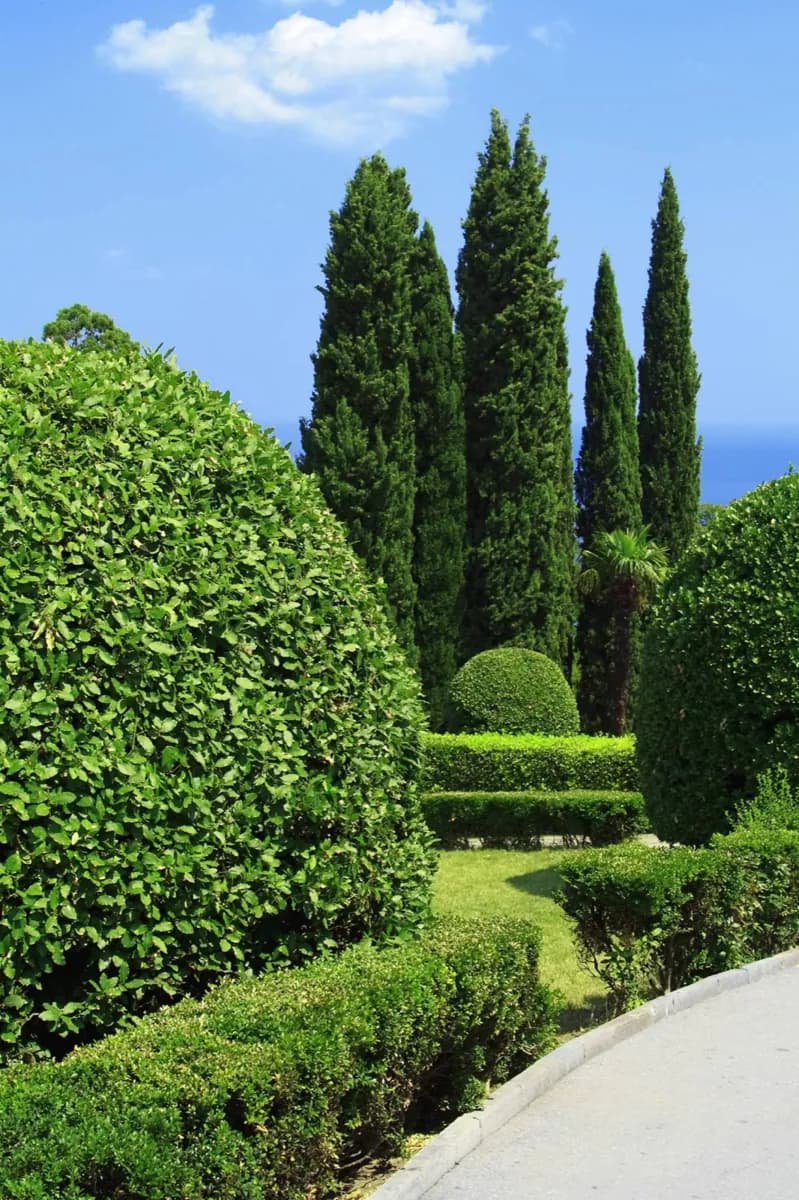 Giardino Loki Schmidt · 2