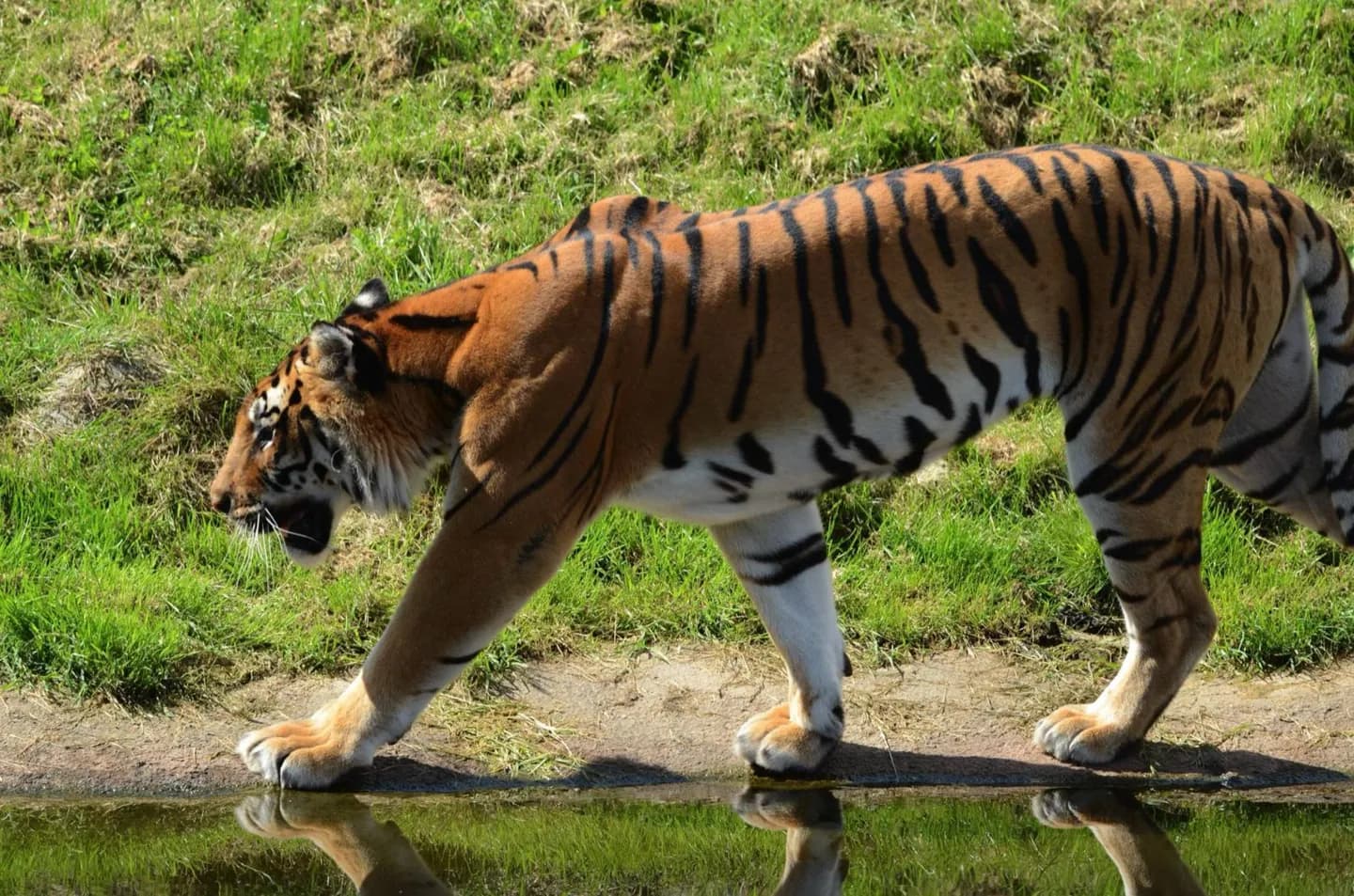Tierpark Hagenbeck
