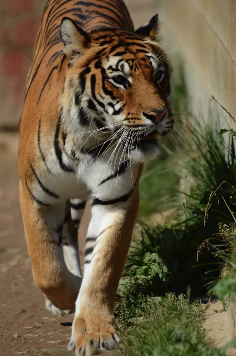 Tierpark Hagenbeck · 2
