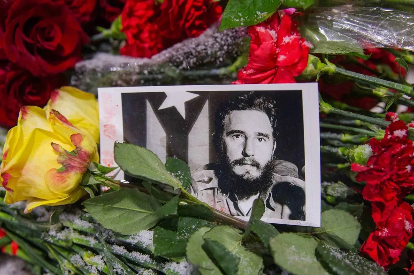 Fidel Castro und Havanna · 2