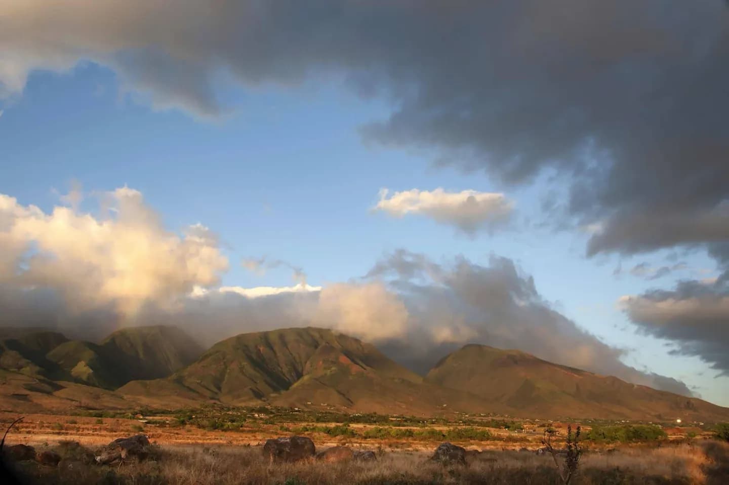 Paesaggi di Maui · 2