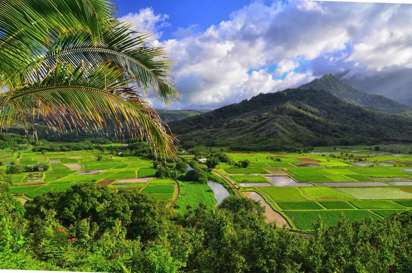Planning Kauaʻi