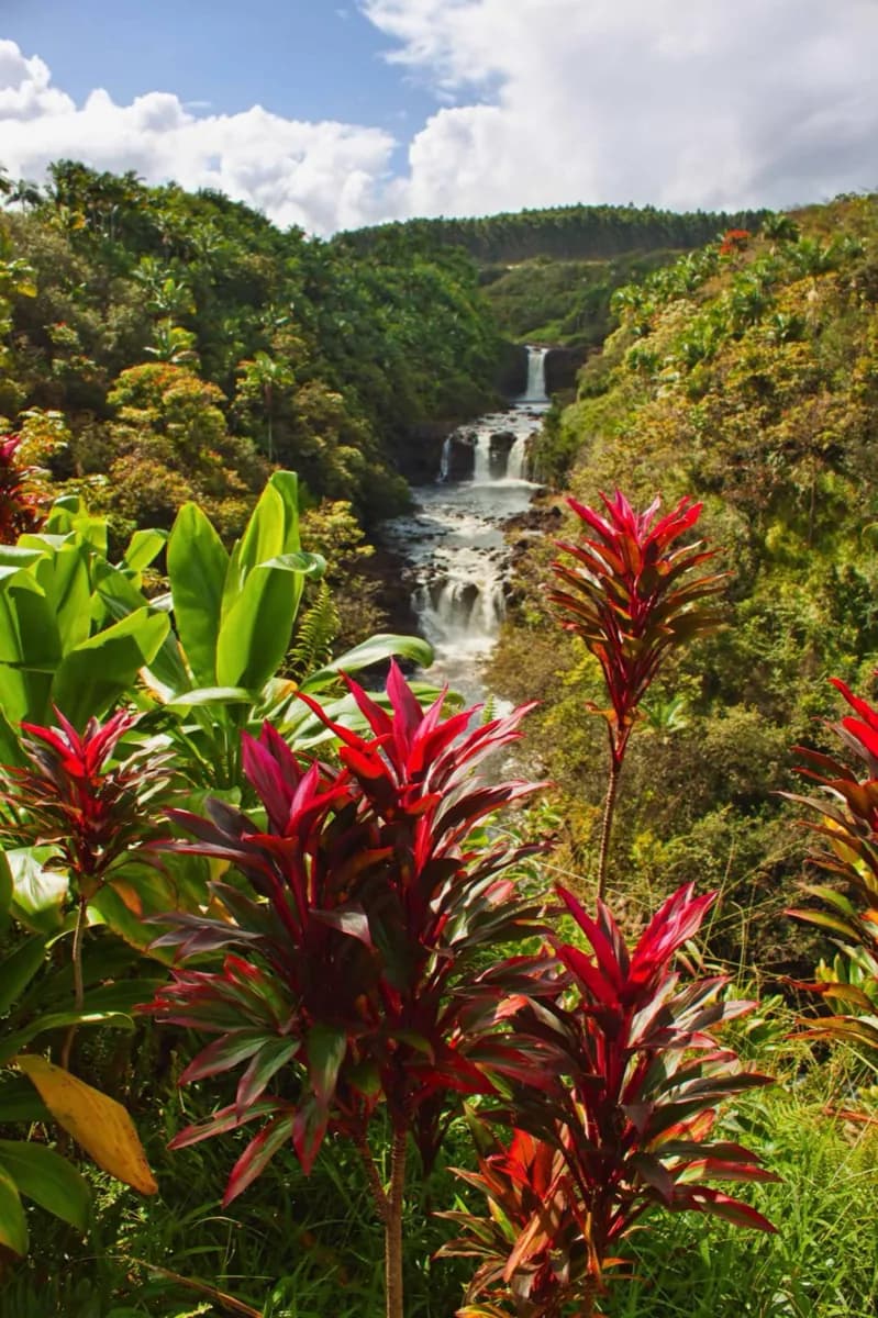 Umauma Falls · 2