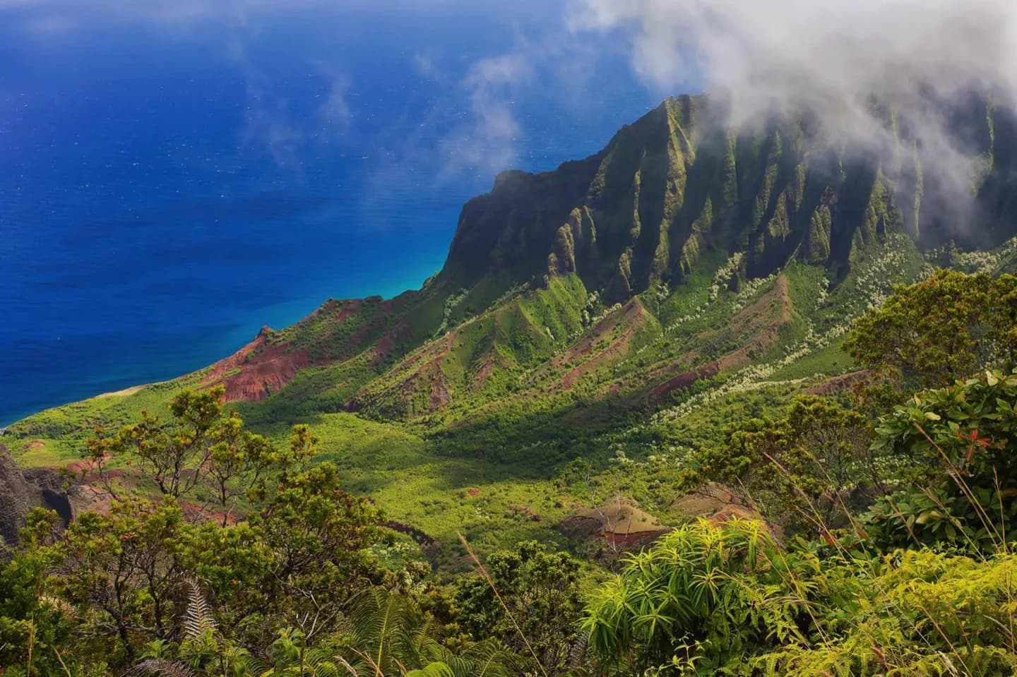 Waimea · 2