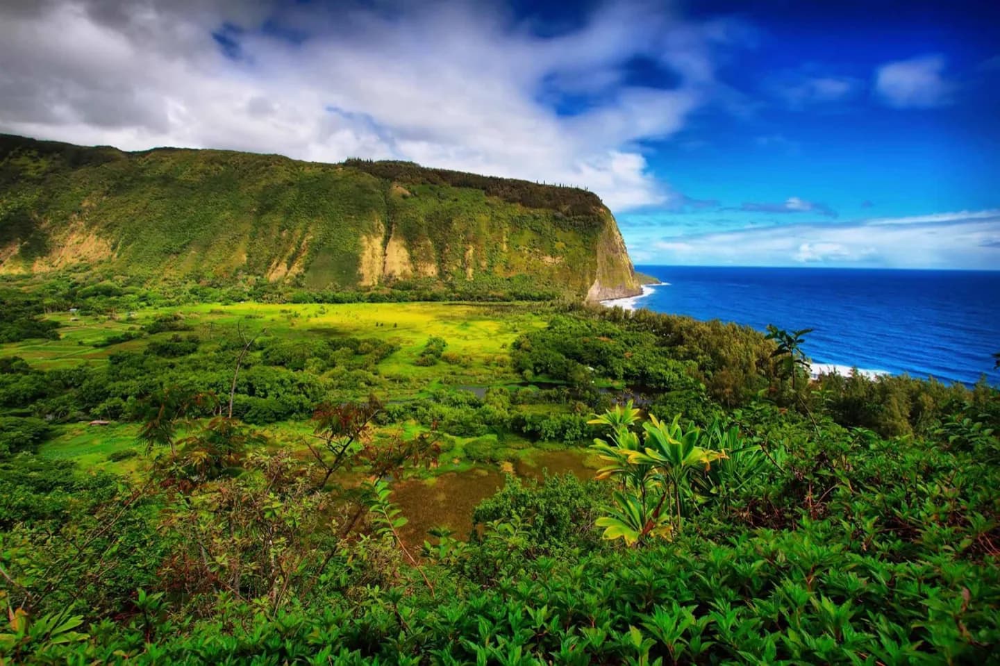 Waipio Valley · 2