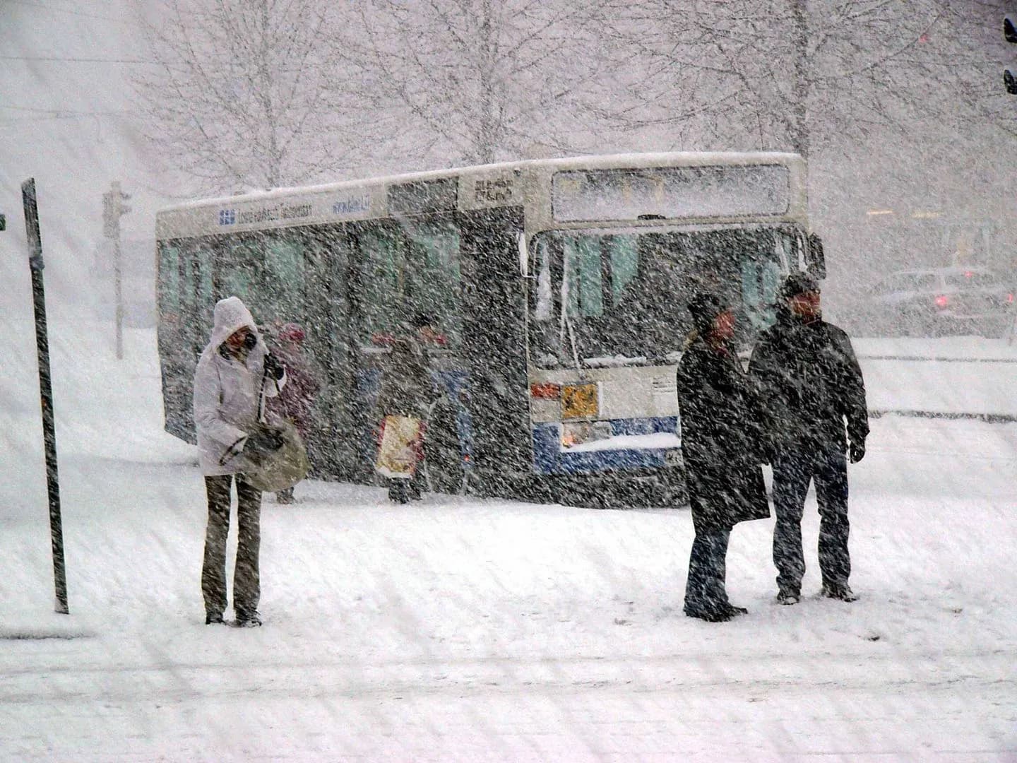 Bus