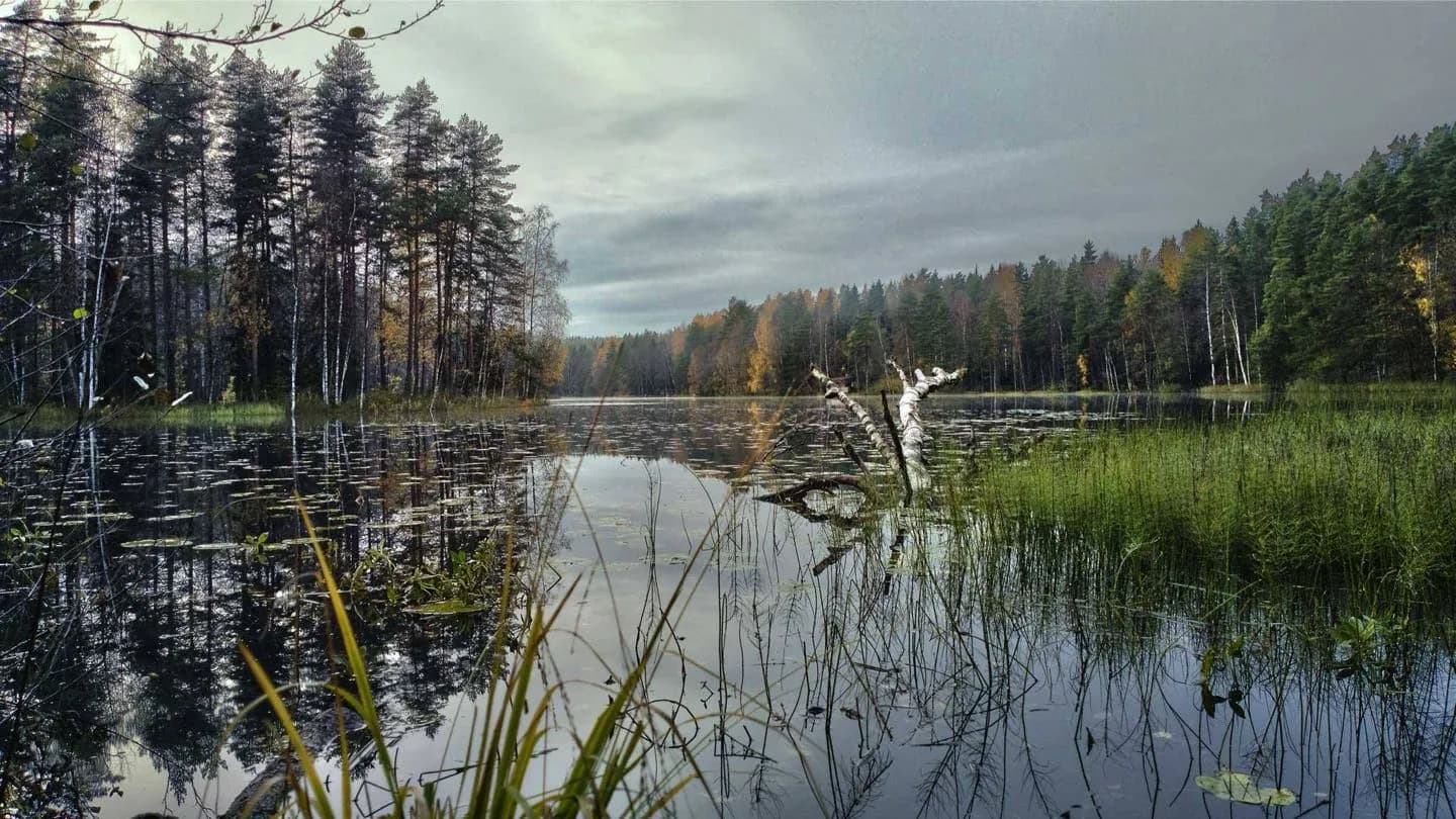 Nuuksio National Park · 2