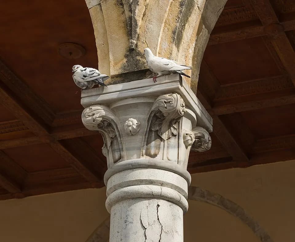 Saint Mark’s Basilica and Municipal Art Gallery