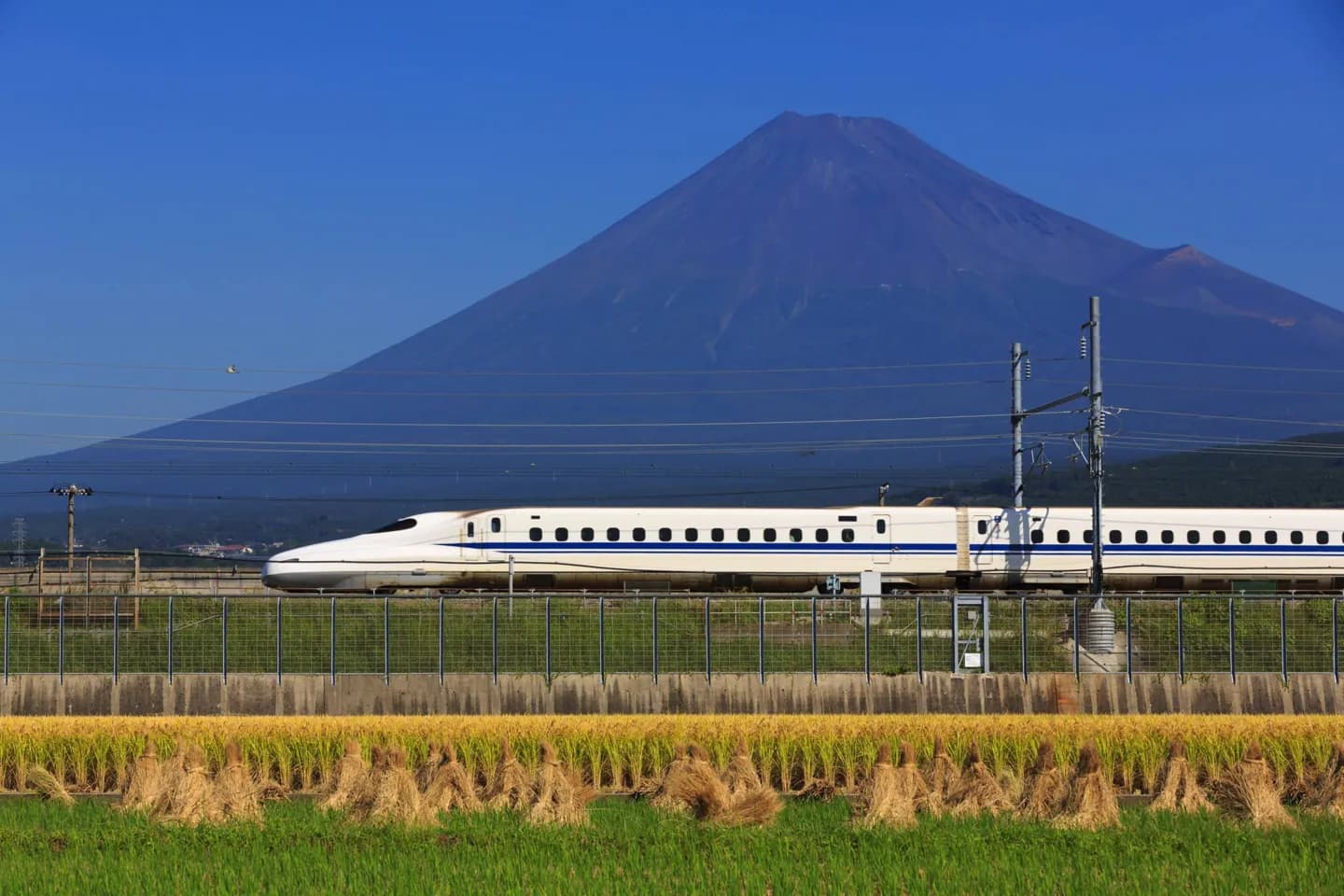 Red de transporte de Hiroshima · 2