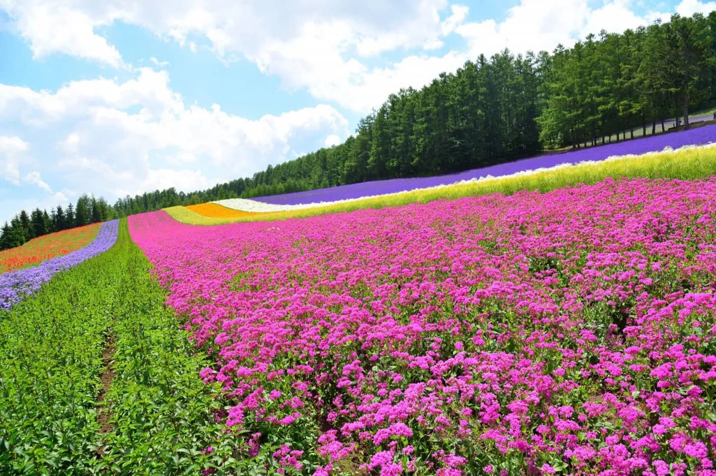 Como a Geografia de Hokkaido Molda uma Viagem