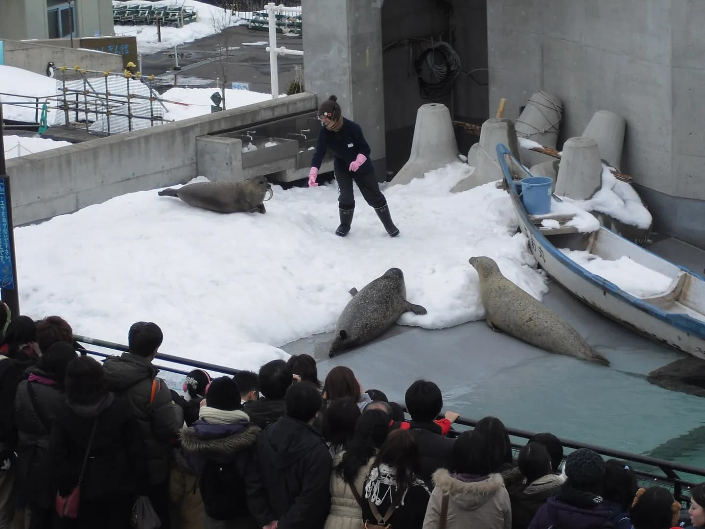 Asahiyama Zoo