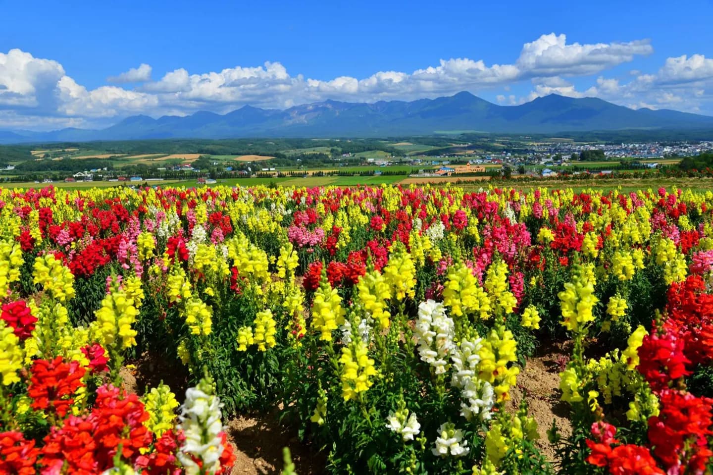 Furano