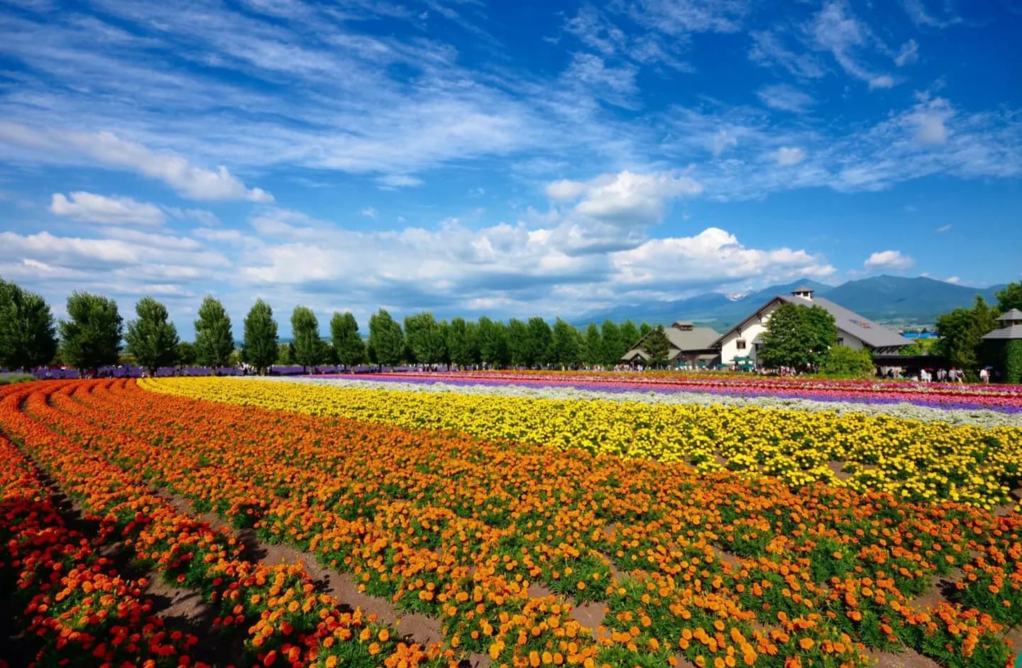 Furano · 2