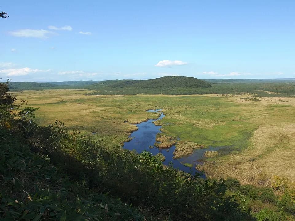 Kottaro Marsh Observatorium
