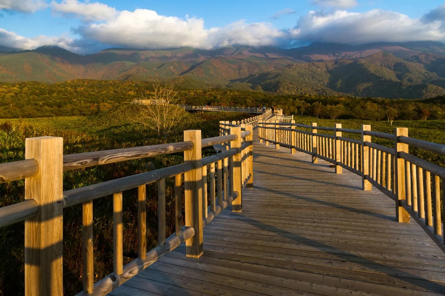 Parco nazionale di Shiretoko · 2