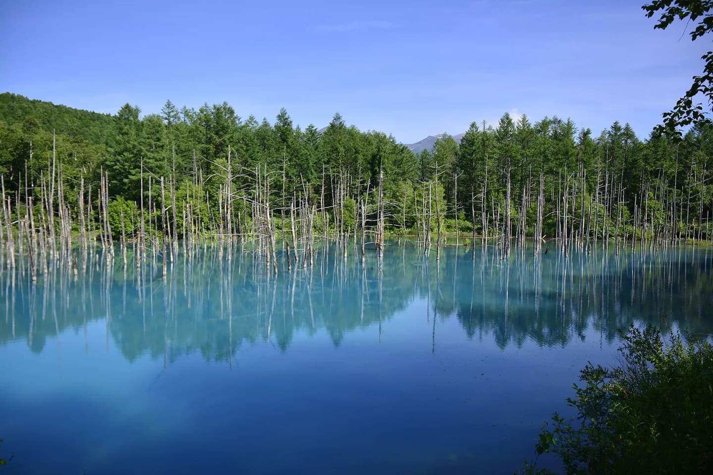 Étang bleu de Shirogane