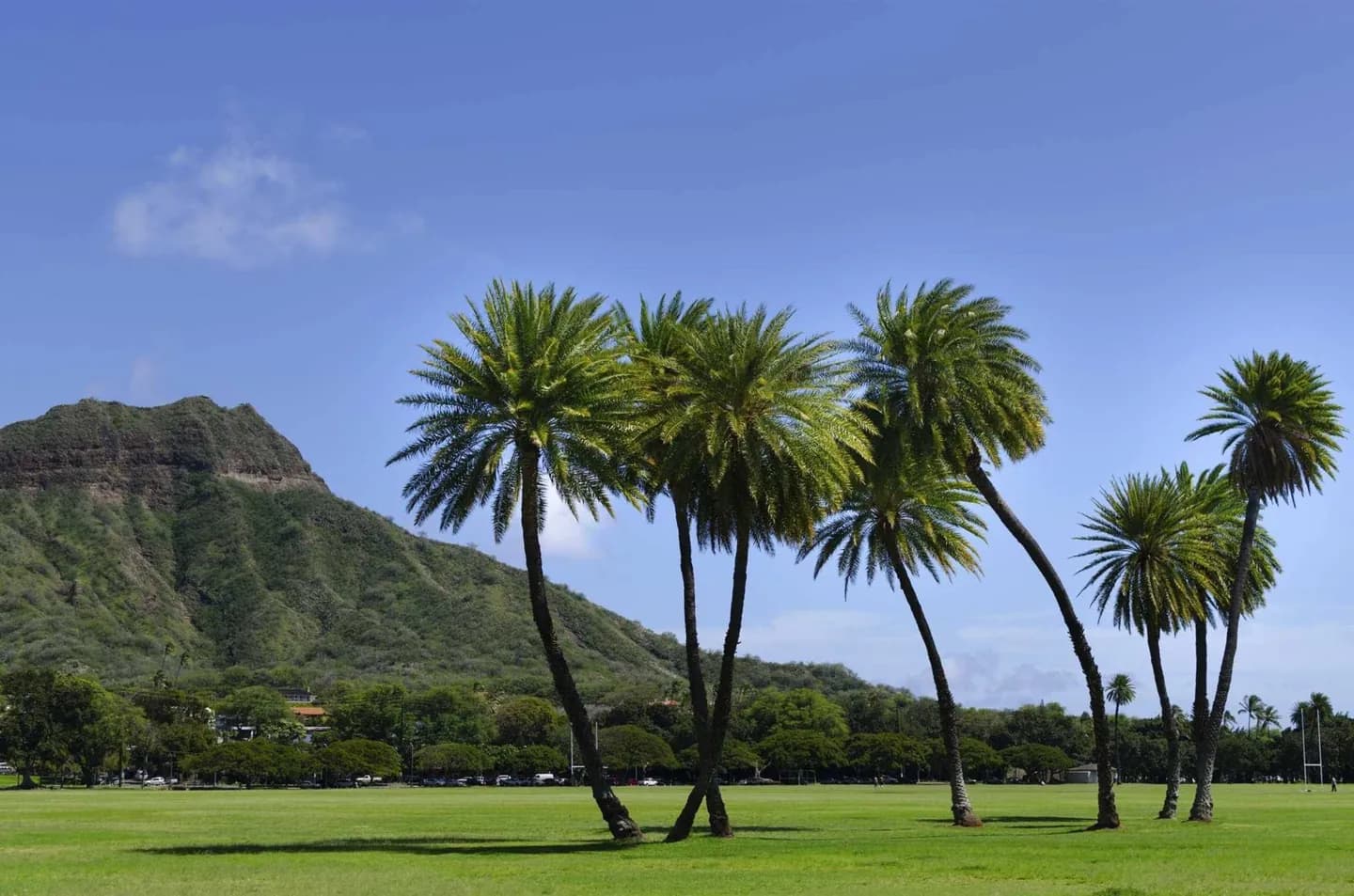 Parc Kapiolani · 2