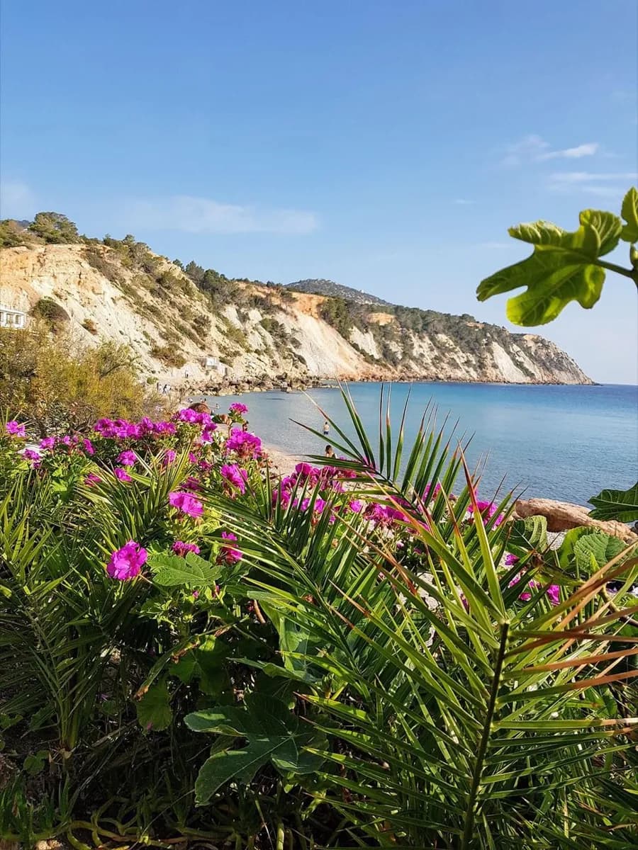 Cala d'Hort