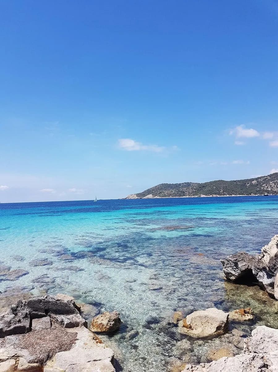 Ses Salines Beach