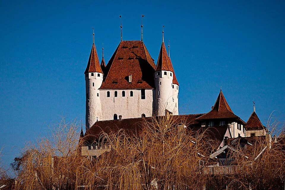 Thun Castle