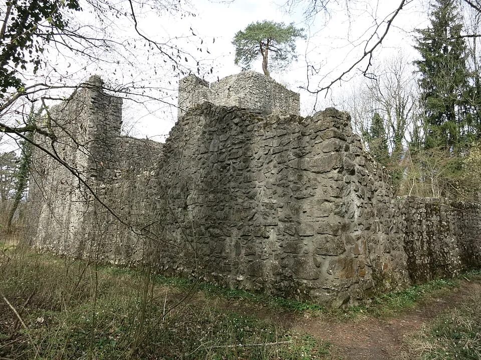 Ruínas do Castelo de Weissenau