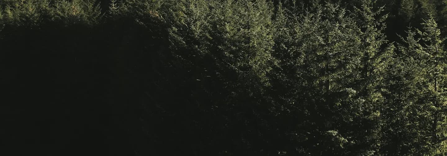 Reelig Glen
