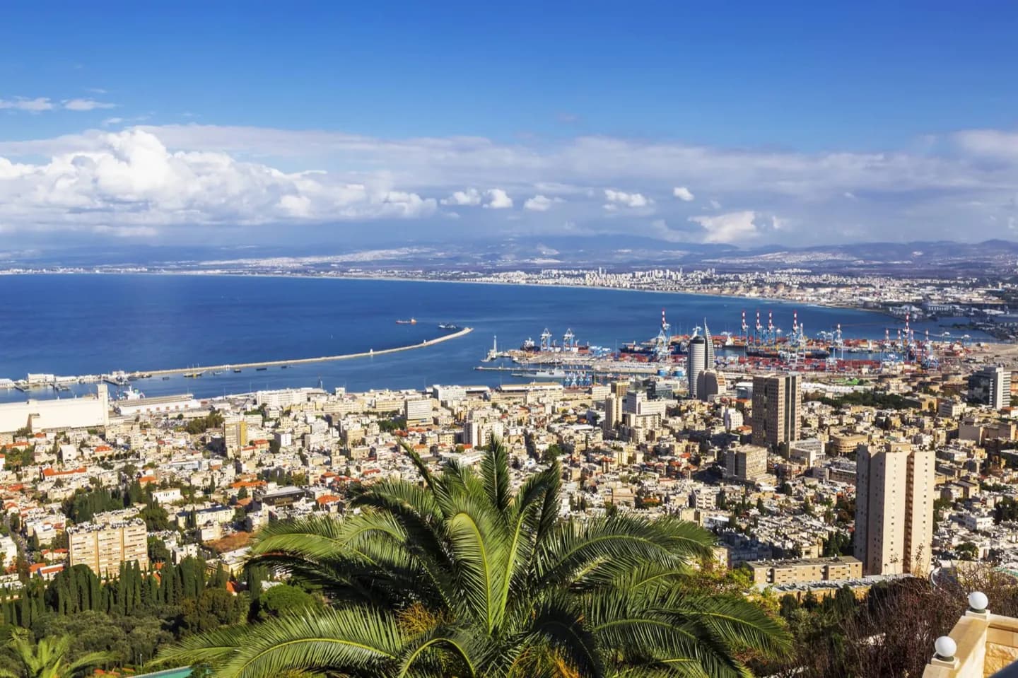 Haifa