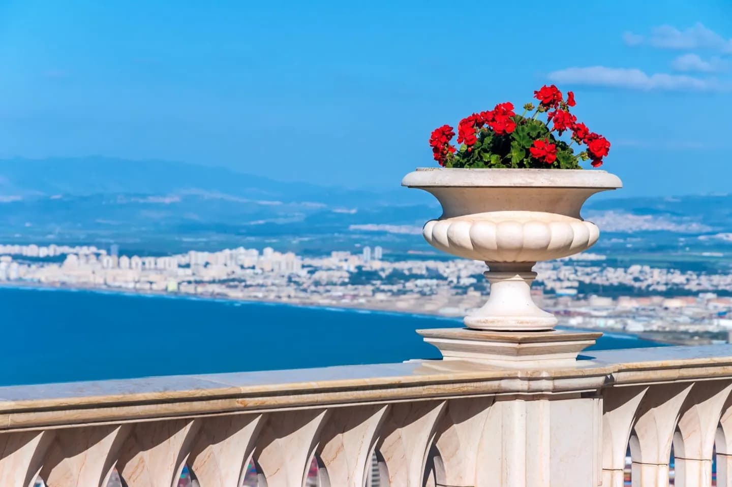 Haifa · 2