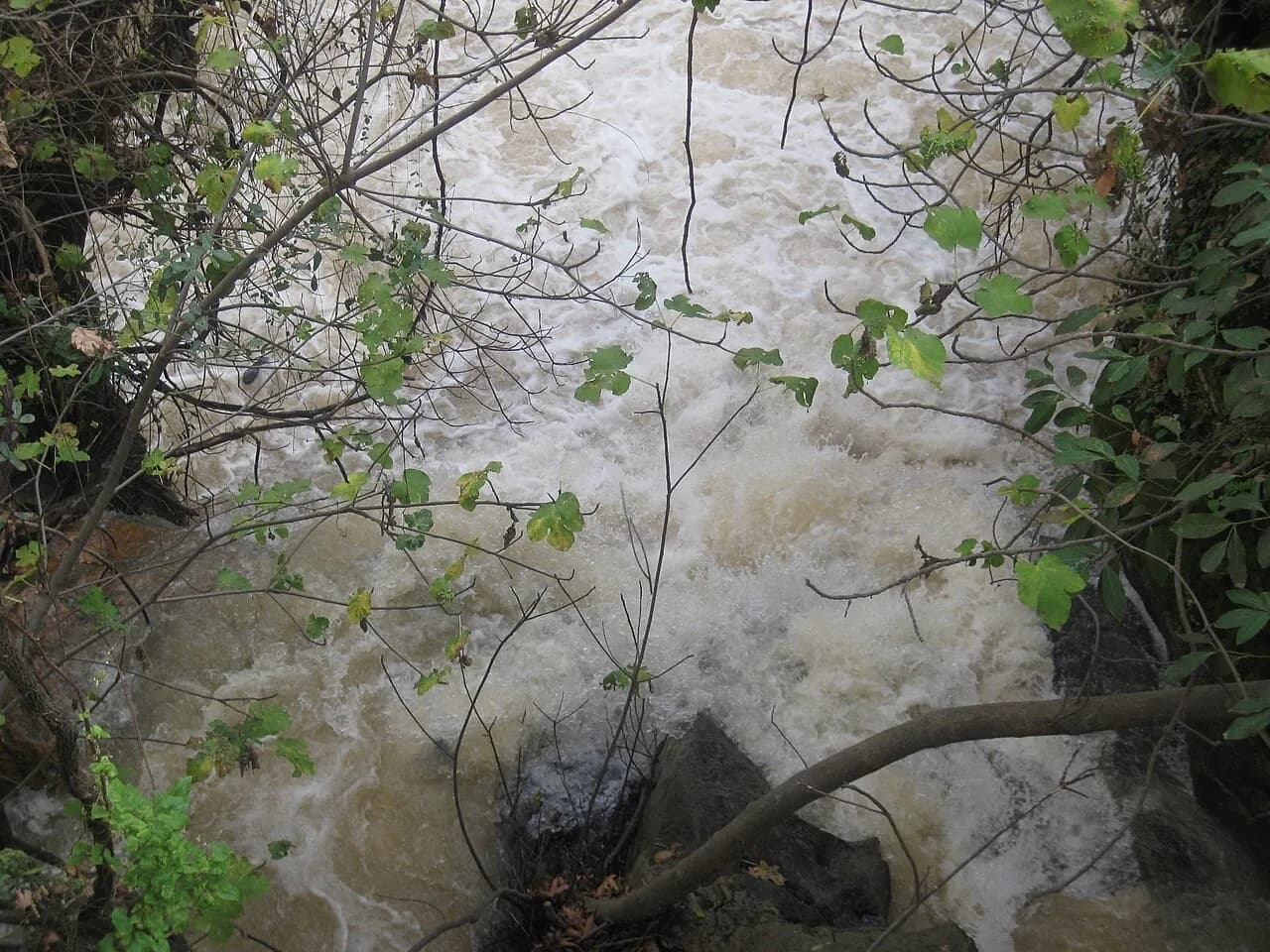 Réserve naturelle de Banias