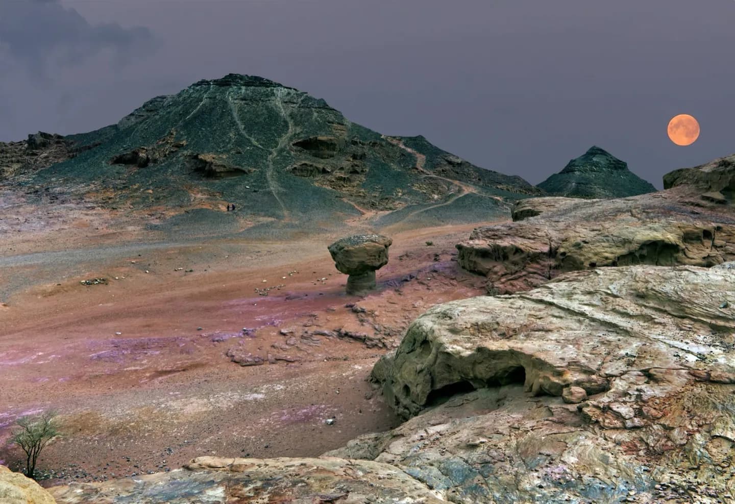 Vallée de Timna