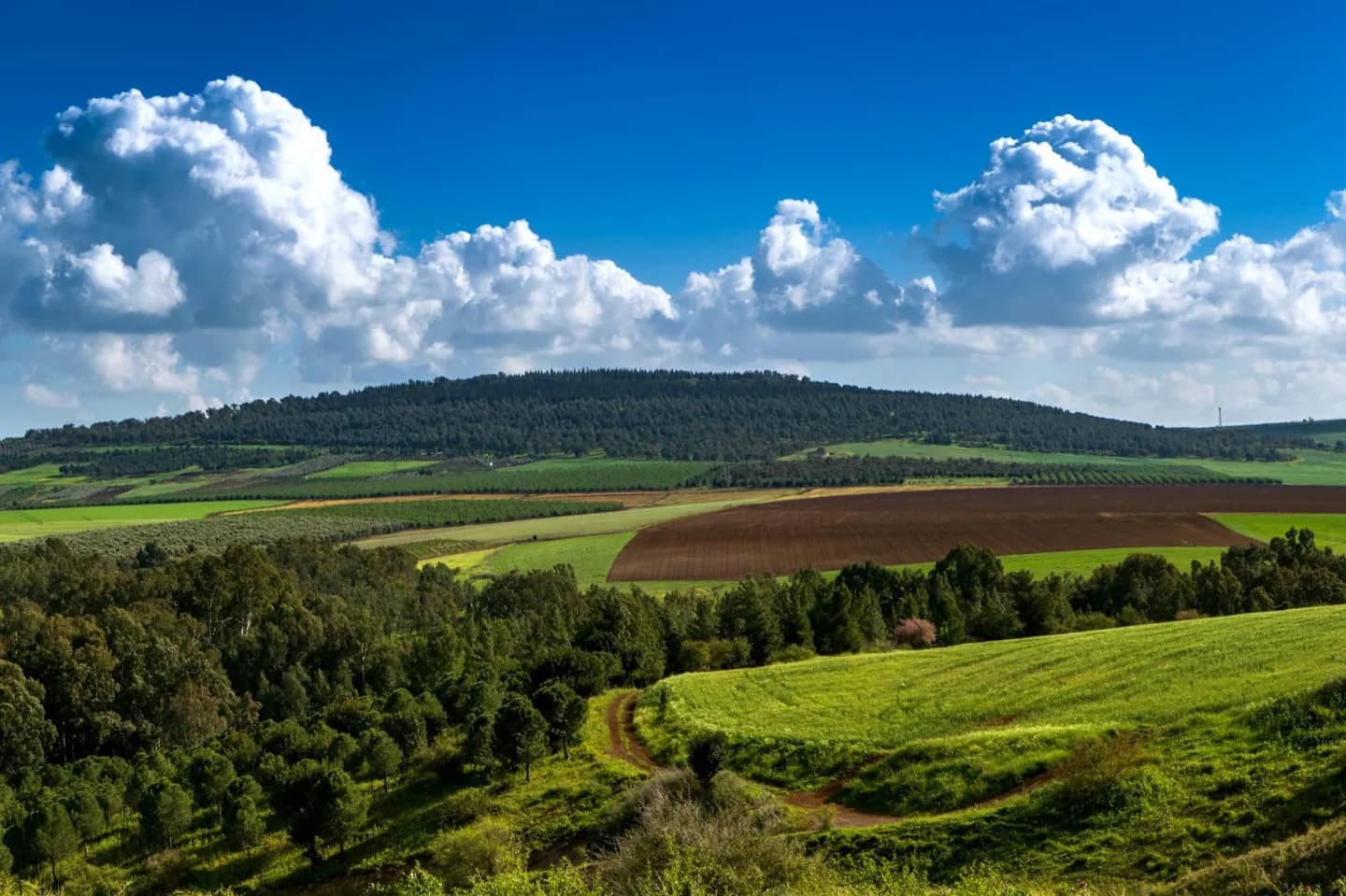 Meteo e stagioni in Israele · 2