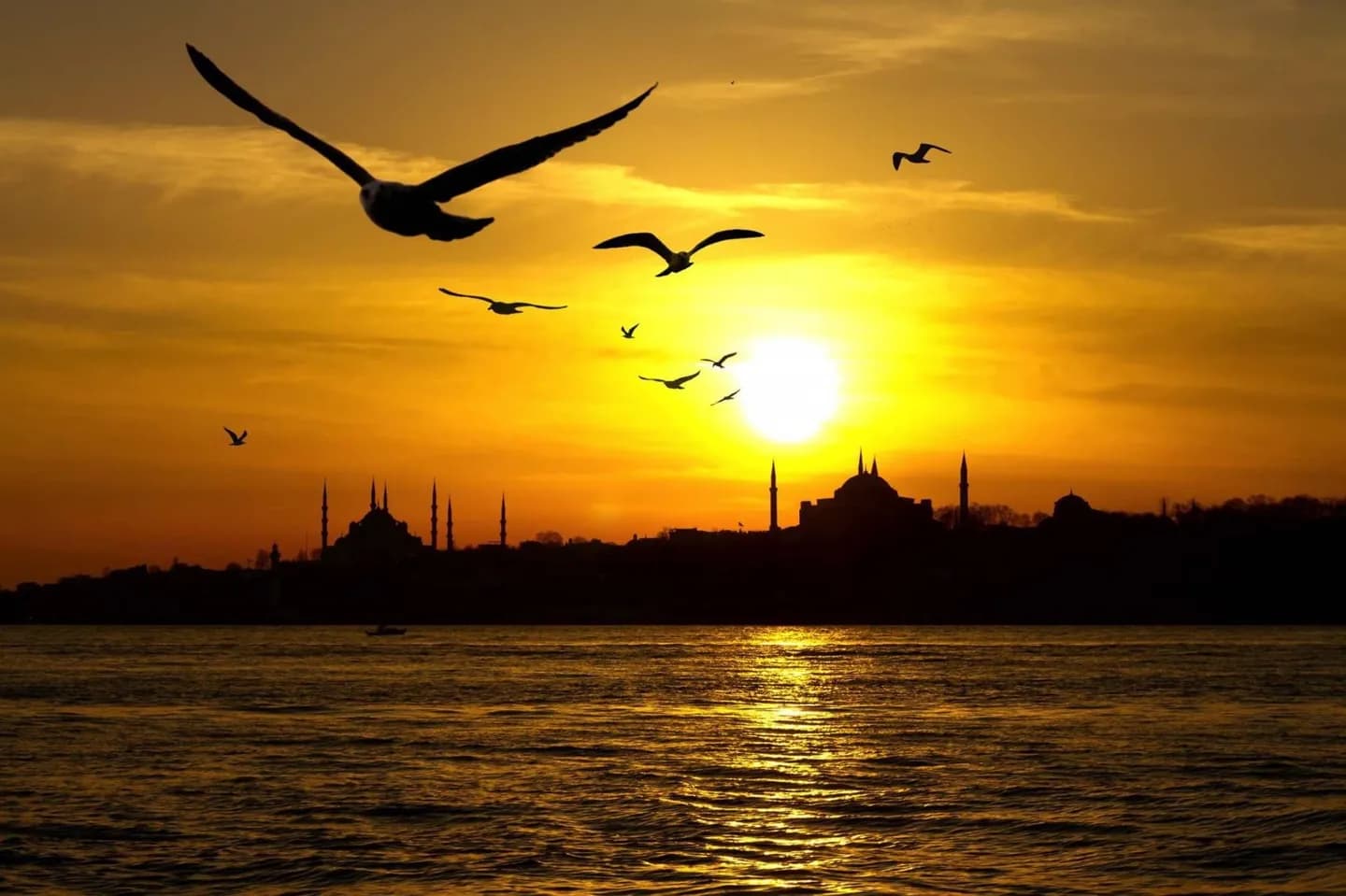 Sarayburnu · 2