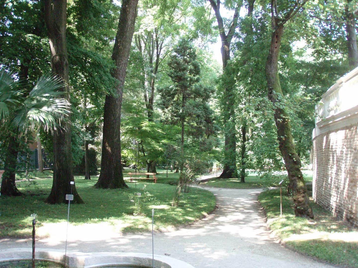 Jardin botanique de Padoue