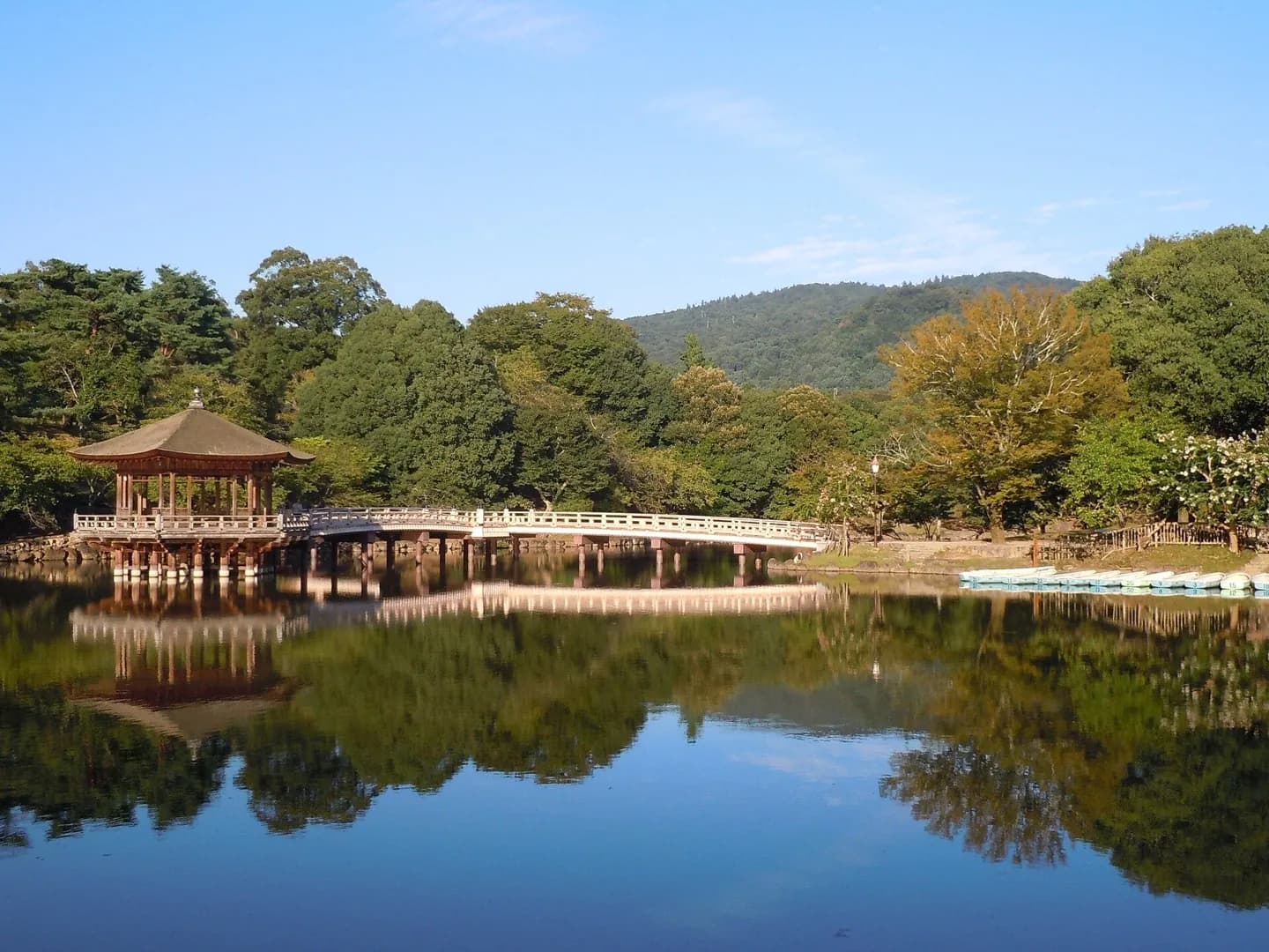 奈良公园