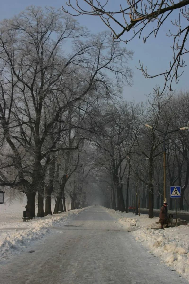 Błonia Krakowskie · 2