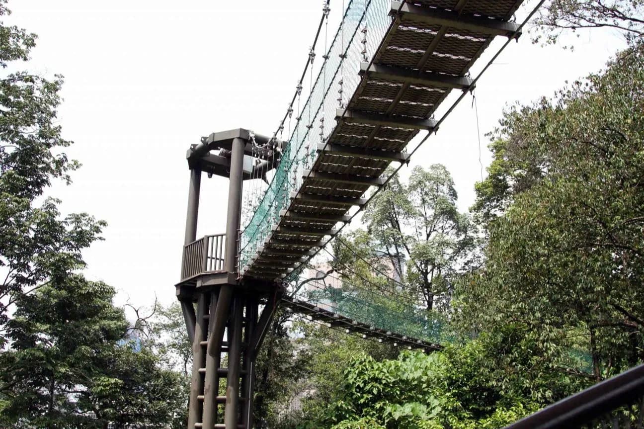 Bukit Nanas (parc écologique de la forêt de Kuala Lumpur)