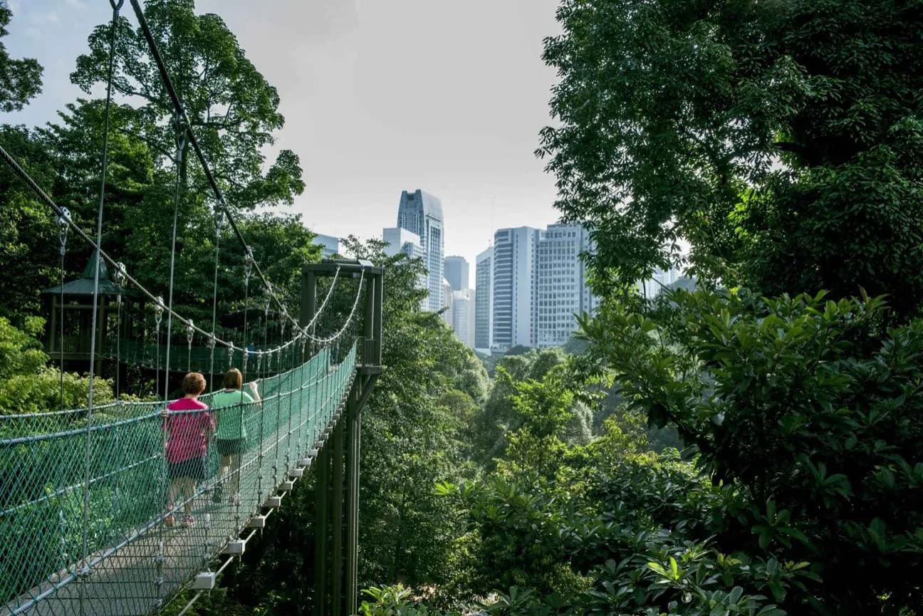 Bukit Nanas (Parque Ecológico del Bosque de Kuala Lumpur) · 2