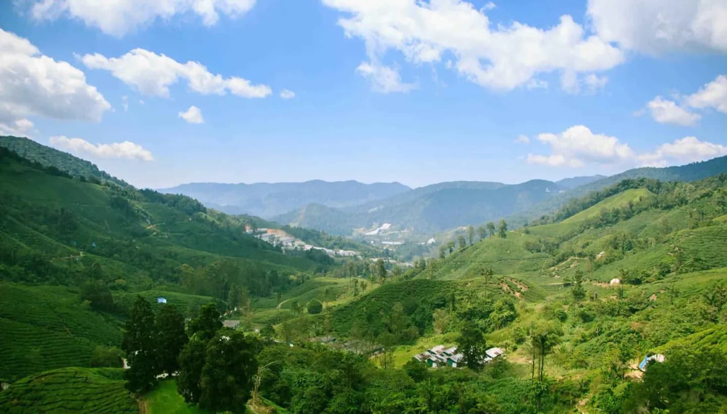 Cameron Highlands · 2