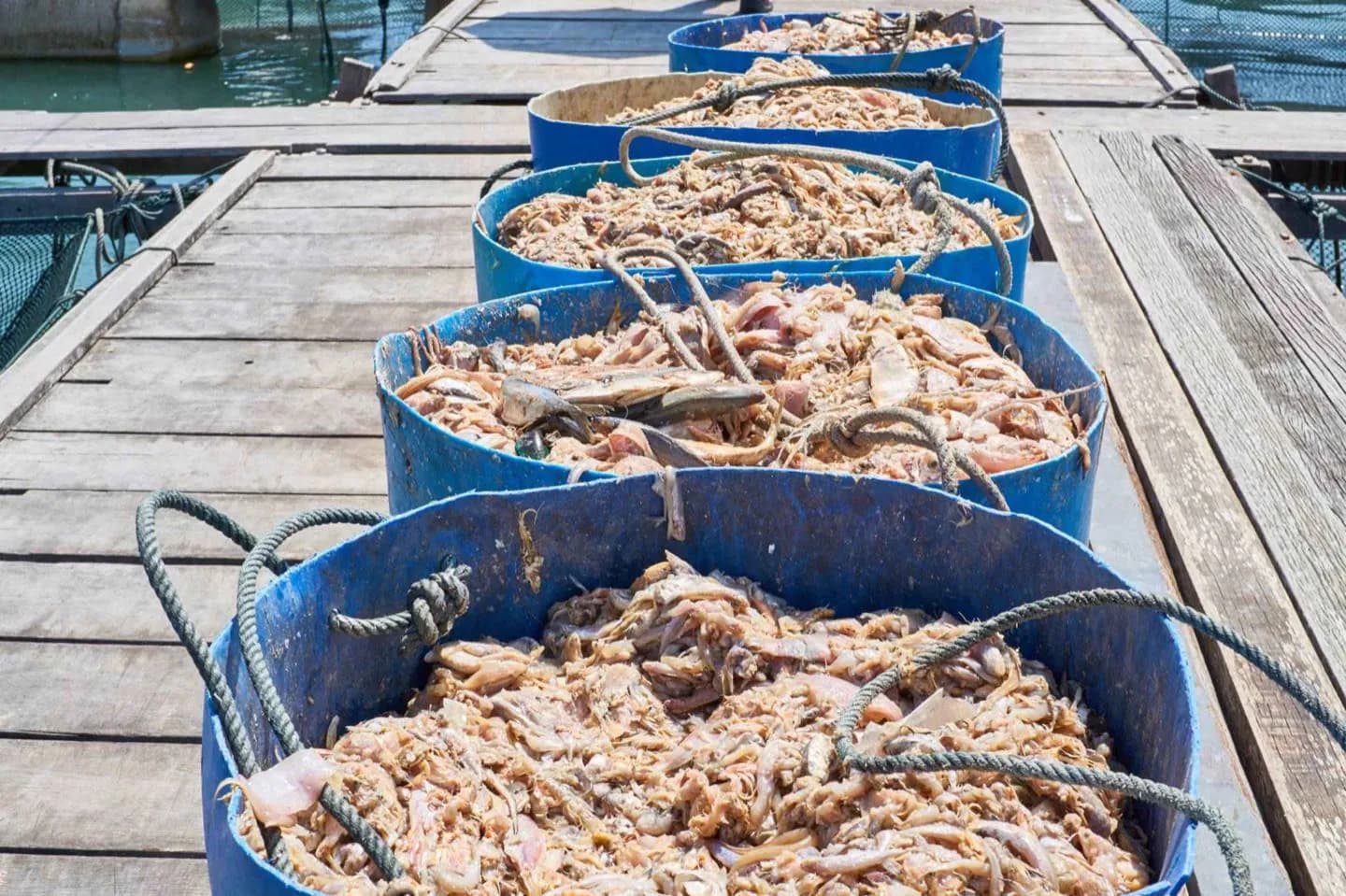 Pulau Ketam · 2