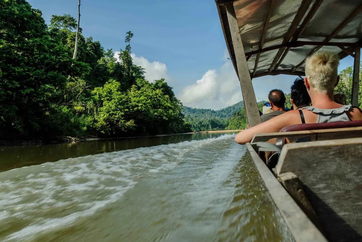 Taman Negara
