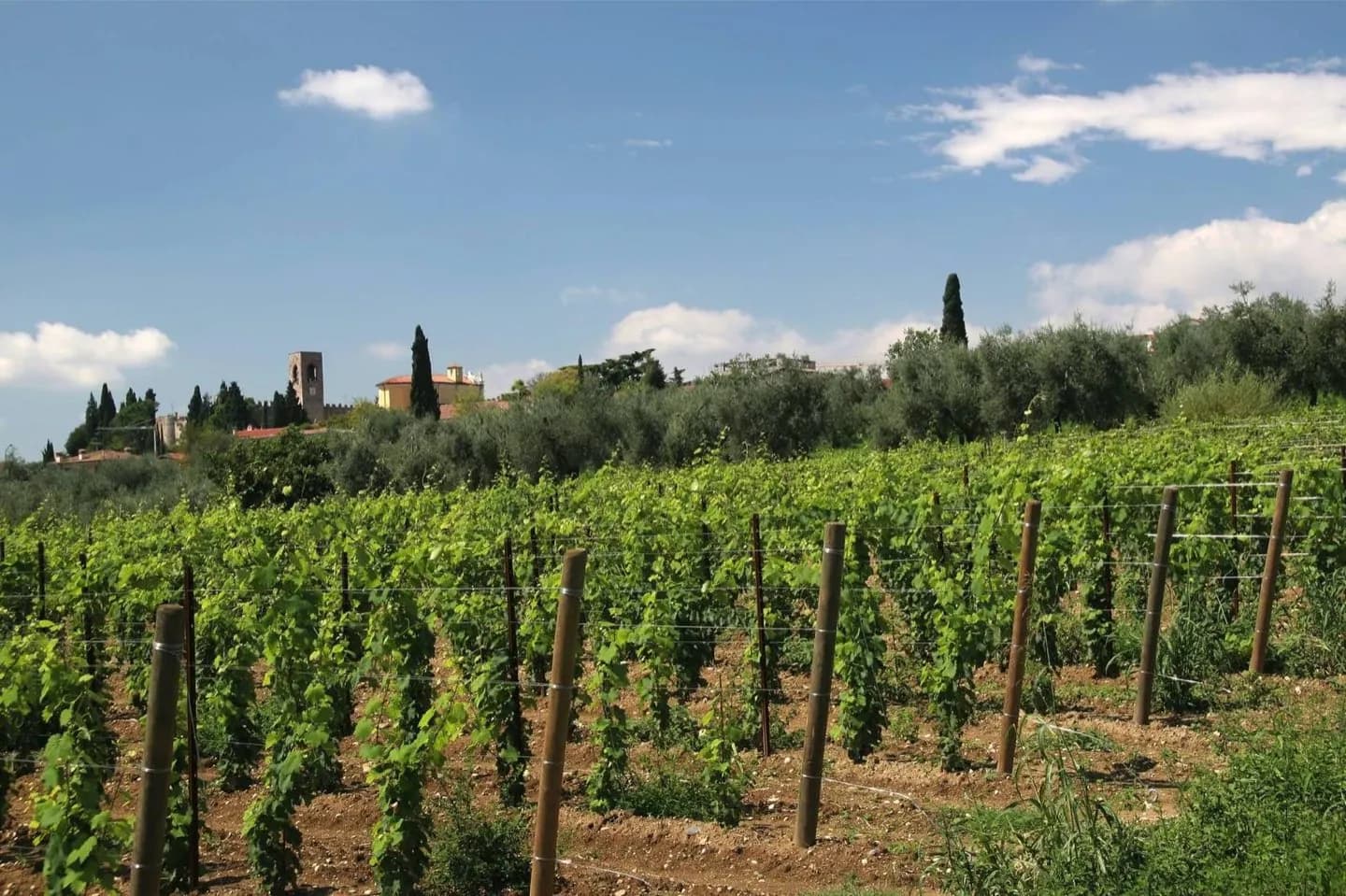 Moniga del Garda · 2