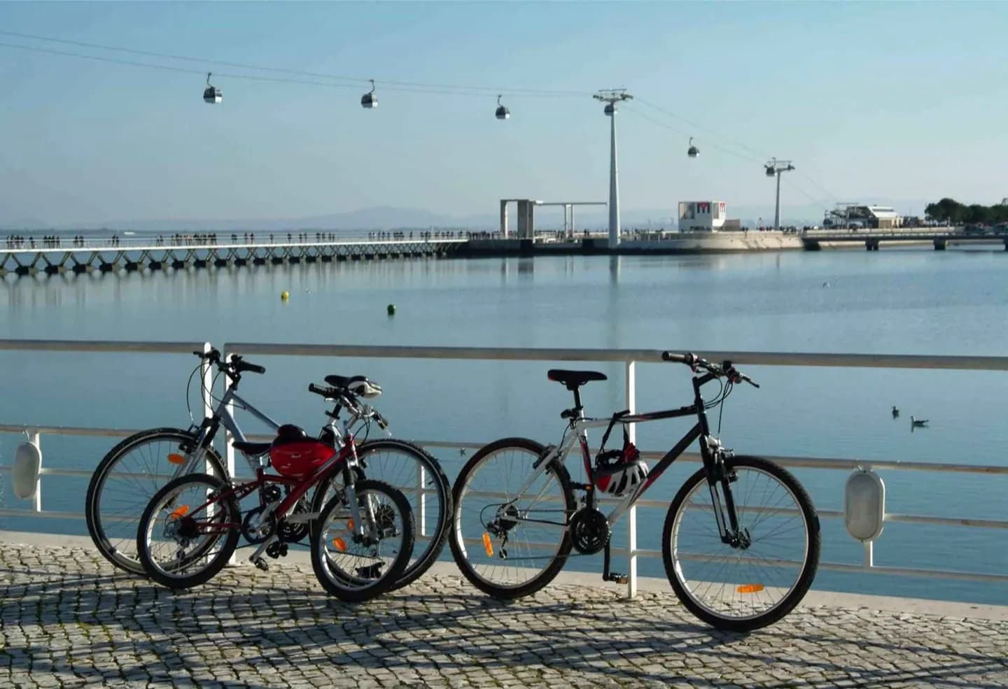 Llegando en bicicleta · 2