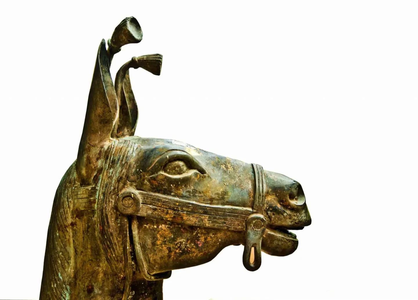 Museo Nazionale di Archeologia · 2