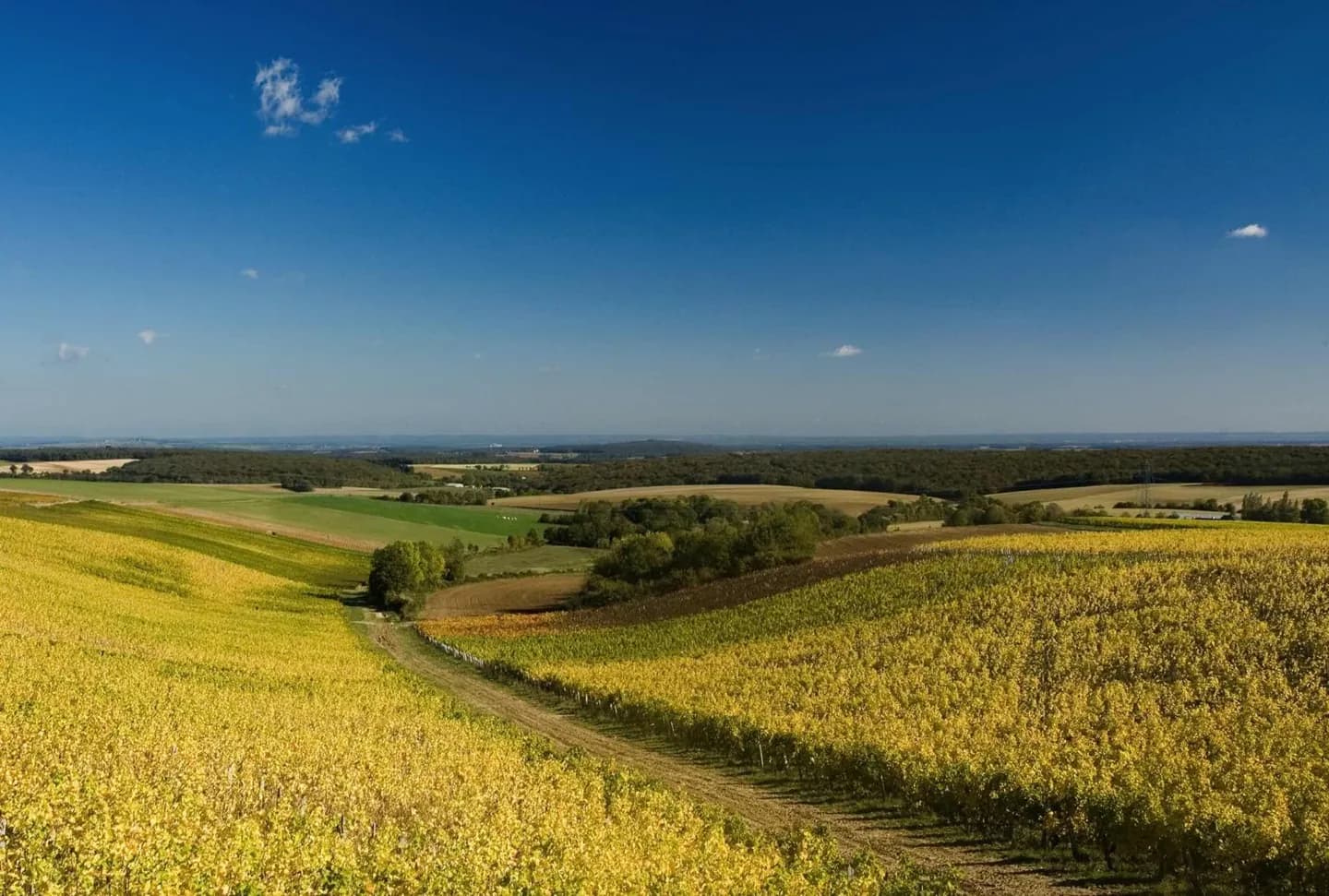 Como a geografia molda uma visita ao Vale do Loire · 2