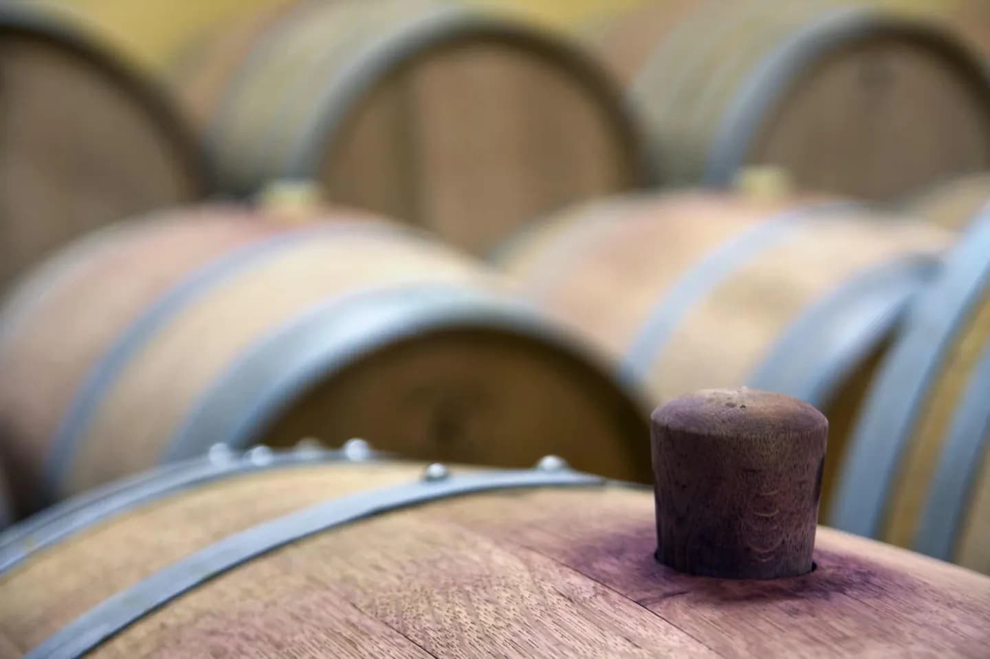 Loire Wein Trauben und Stile · 2
