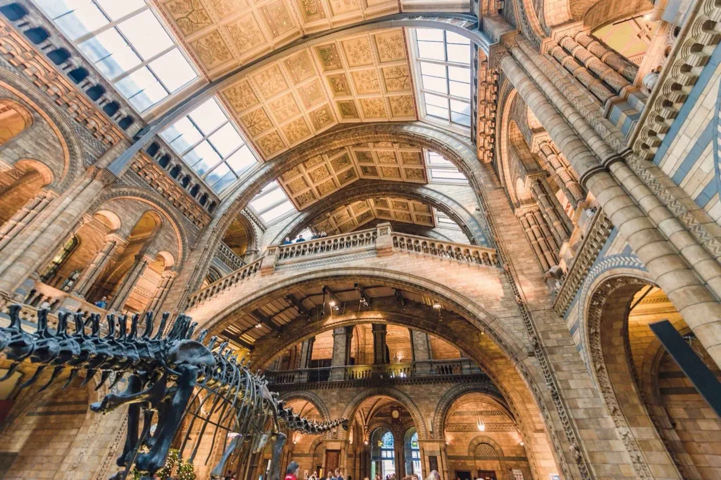 Museu de História Natural de Londres