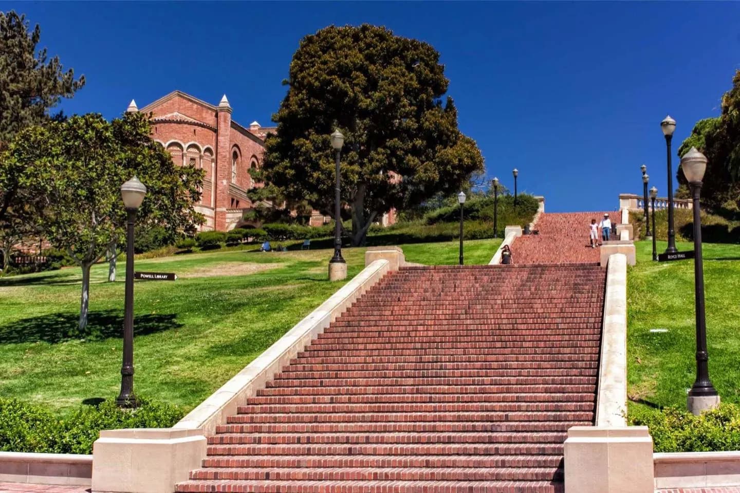 UCLA