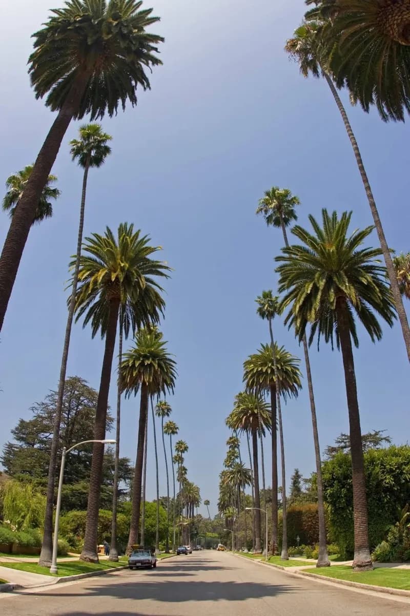 Understanding Los Angeles · 2